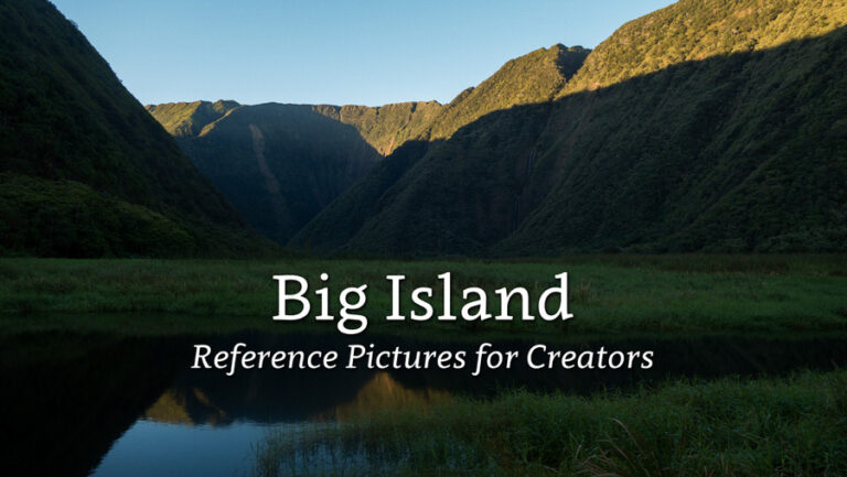 Reference Pictures The Best Reference Pictures And Stock Photos For Reference Pictures The Best Reference Pictures And Stock Photos For