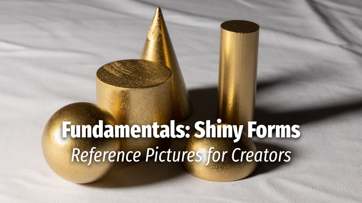 Reference Pictures The Best Reference Pictures And Stock Photos For Reference Pictures The Best Reference Pictures And Stock Photos For